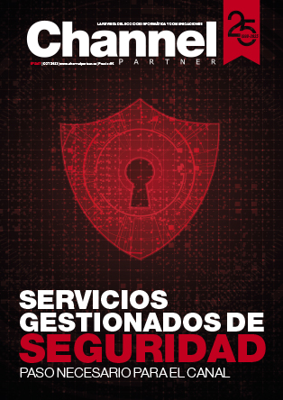 Channel Partners 247
